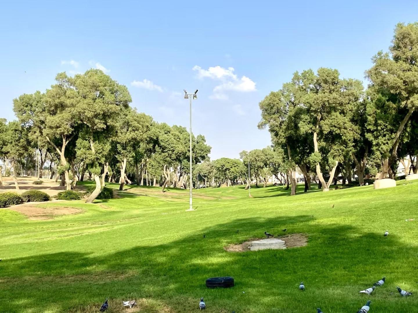 דירה יפיפיה! מיקום מעולה! אוניברסיטת בן גוריון, סורוקה, שוק, פארק! Lejlighed Be'er Sheva Eksteriør billede